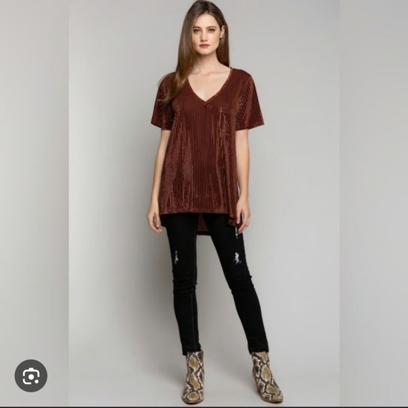 204-POL‎ Velvet V-Neck Rust Top - Picture 2 of 7